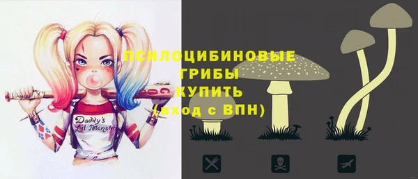 эйфоретик Баксан