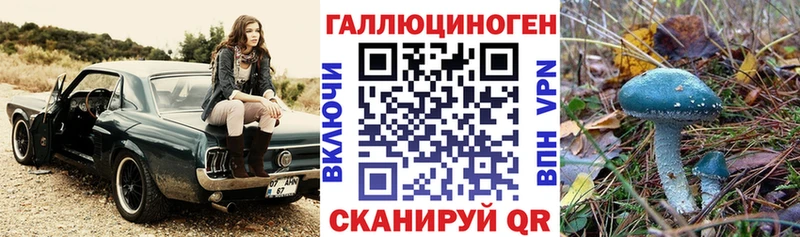 Псилоцибиновые грибы MAGIC MUSHROOMS Белово